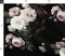 Dark Floral Vintage Botanical Victorian Garden Large Scale Watercolor Girly Custom Printed Fabric by Spoonflower Various Fabrics by the Yard or Fat Quarter